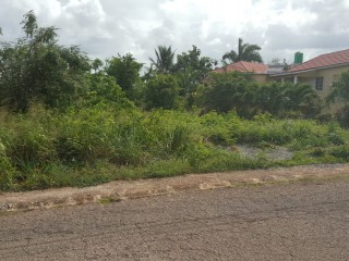 Residential lot For Sale in Green Acres, St. Catherine Jamaica | [1]