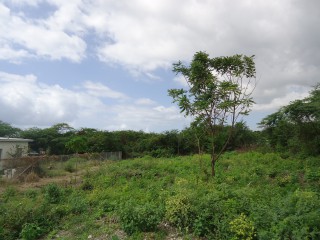 Residential lot For Sale in Pomfret, St. Thomas Jamaica | [3]