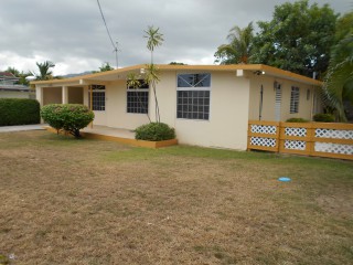 House For Rent in Roehampton Estate, Kingston / St. Andrew Jamaica | [14]