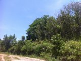 Residential lot For Sale in BAMBOO, St. Ann Jamaica | [1]