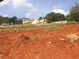 Residential lot For Sale in Mandeville, Manchester Jamaica | [6]