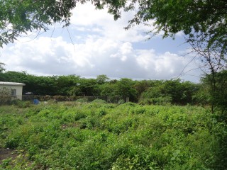 Residential lot For Sale in Pomfret, St. Thomas Jamaica | [5]