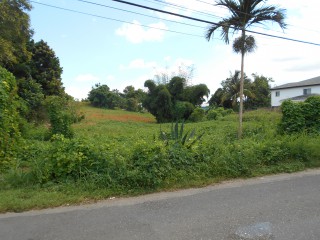 Land For Sale in Mandeville, Manchester Jamaica | [7]