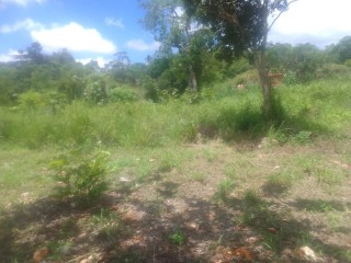 Commercial/farm land For Sale in Newport PO, Manchester Jamaica | [6]