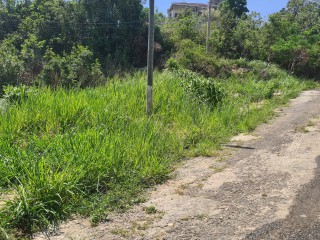 Residential lot For Sale in Red Hills, Kingston / St. Andrew Jamaica | [5]