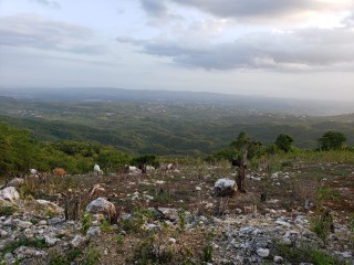 Residential lot For Sale in Sligoville, St. Catherine Jamaica | [6]