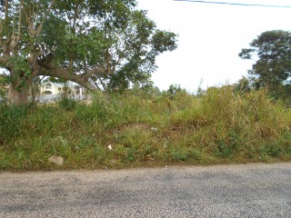 Residential lot For Sale in Mandeville, Manchester Jamaica | [2]