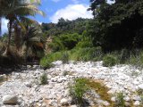 Commercial/farm land For Sale in Donnington, St. Mary Jamaica | [4]