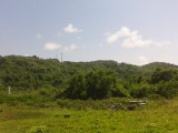 Commercial/farm land For Sale in LUCEA, Hanover Jamaica | [8]