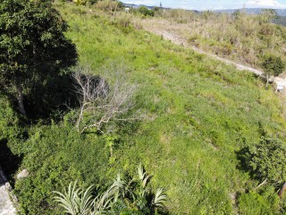 Residential lot For Sale in Mandeville, Manchester Jamaica | [8]