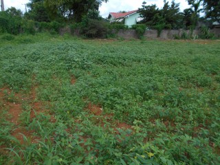 Land For Sale in Mandeville, Manchester Jamaica | [4]