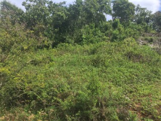 Residential lot For Sale in Albion Estates, Manchester Jamaica | [3]