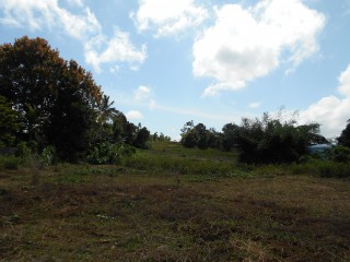 Residential lot For Sale in Mandeville, Manchester Jamaica | [2]