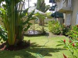 Apartment For Rent in Half Way Tree, Kingston / St. Andrew Jamaica | [5]