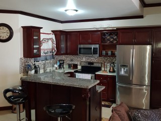 Apartment For Rent in New Kingston, Kingston / St. Andrew Jamaica | [12]