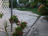 House For Sale in Off Molynes Road, Kingston / St. Andrew Jamaica | [3]