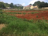 Residential lot For Sale in Mandeville, Manchester Jamaica | [8]