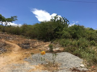 Residential lot For Sale in Off Sligoville Main Road, St. Catherine Jamaica | [6]