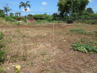 Residential lot For Sale in Mandeville, Manchester Jamaica | [1]