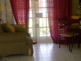 Apartment For Rent in Hope Road and Halfway Tree Road, Kingston / St. Andrew Jamaica | [2]