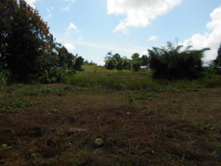 Residential lot For Sale in Mandeville, Manchester Jamaica | [6]