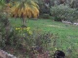 House For Sale in Mandeville, Manchester Jamaica | [6]