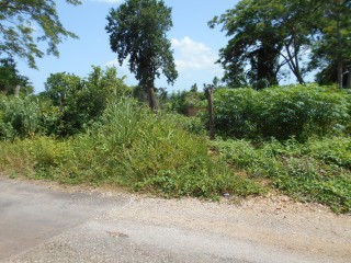 Land For Sale in Rosewell, Clarendon, Jamaica