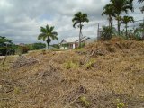 Residential lot For Sale in Mandeville, Manchester Jamaica | [2]