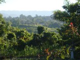 Residential lot For Sale in Mandeville, Manchester Jamaica | [5]