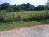 Residential lot For Sale in Spur Tree, Manchester Jamaica | [5]