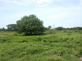 Residential lot For Sale in Black River, St. Elizabeth Jamaica | [4]