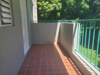 Apartment For Rent in Constant Spring, Kingston / St. Andrew Jamaica | [5]