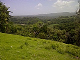 Commercial/farm land For Sale in Prospect, Clarendon Jamaica | [3]