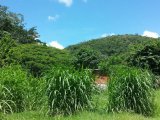 Commercial/farm land For Sale in Cambridge, St. James Jamaica | [1]