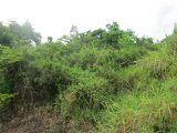 Residential lot For Sale in Hibiscus Gardens Mandeville, Manchester Jamaica | [3]