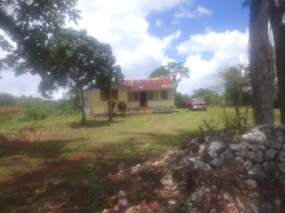 Commercial/farm land For Sale in Newport PO, Manchester Jamaica | [4]