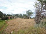 Residential lot For Sale in Rose Hill, Manchester Jamaica | [1]