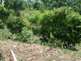 Residential lot For Sale in Grange Hill aka Long Road, Portland Jamaica | [4]