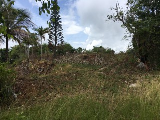 Residential lot For Sale in Sandy Bay, Hanover Jamaica | [7]