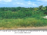 Residential lot For Sale in Three Hills, St. Mary Jamaica | [2]