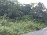 Residential lot For Sale in Mandeville, Manchester Jamaica | [2]