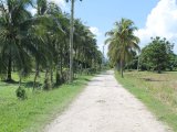 Residential lot For Sale in Bog Walk, St. Catherine Jamaica | [6]