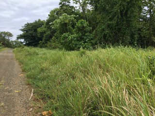 Residential lot For Sale in Fairy Hill, Portland Jamaica | [9]