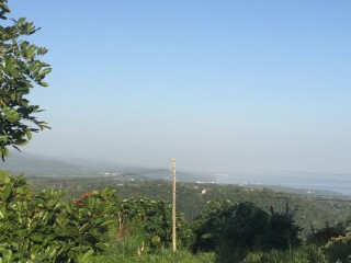 Residential lot For Sale in Three Hills, St. Mary Jamaica | [1]