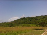 Commercial/farm land For Sale in LUCEA, Hanover Jamaica | [2]