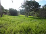 Residential lot For Sale in Rose Hill, Manchester Jamaica | [5]