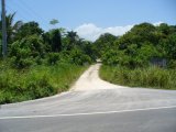 Commercial/farm land For Sale in Orange Bay, Portland Jamaica | [1]