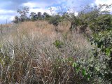 Residential lot For Sale in Plantation Heights, Kingston / St. Andrew Jamaica | [6]