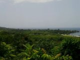 Residential lot For Sale in Lucea, Hanover Jamaica | [3]