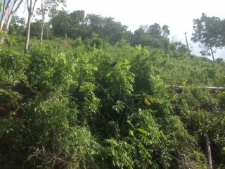 Residential lot For Sale in Runaway Bay, St. Ann Jamaica | [1]